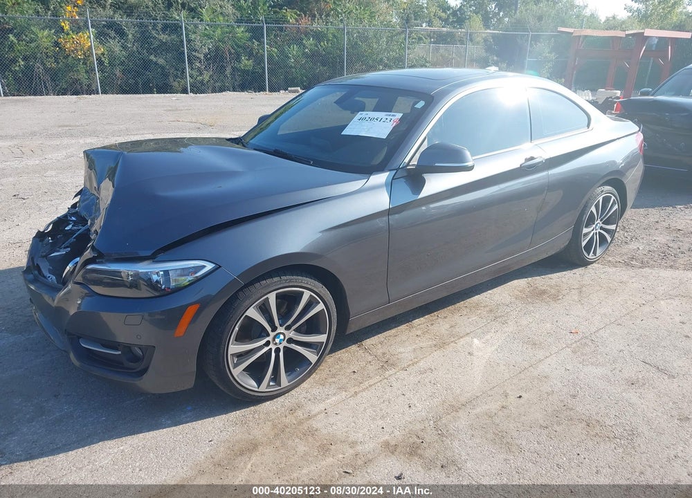 2016 BMW 228I XDRIVE VIN: WBA1G9C52GV599280