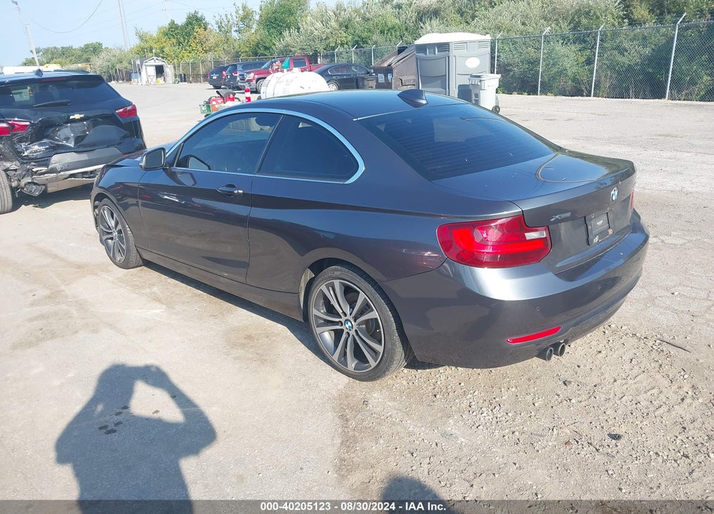 2016 BMW 228I XDRIVE VIN: WBA1G9C52GV599280