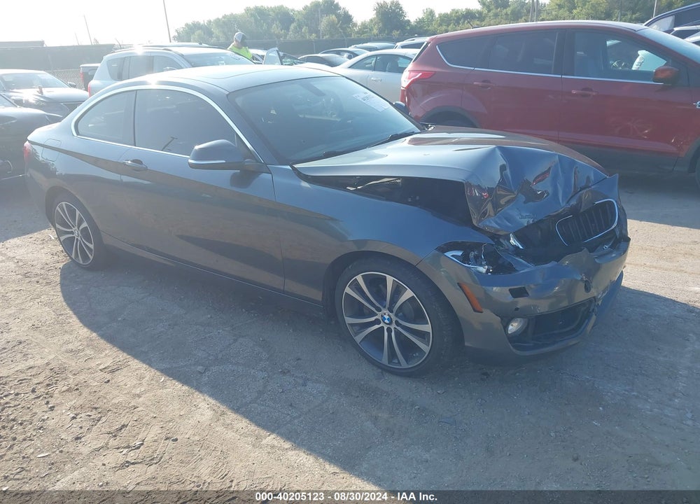 2016 BMW 228I XDRIVE VIN: WBA1G9C52GV599280