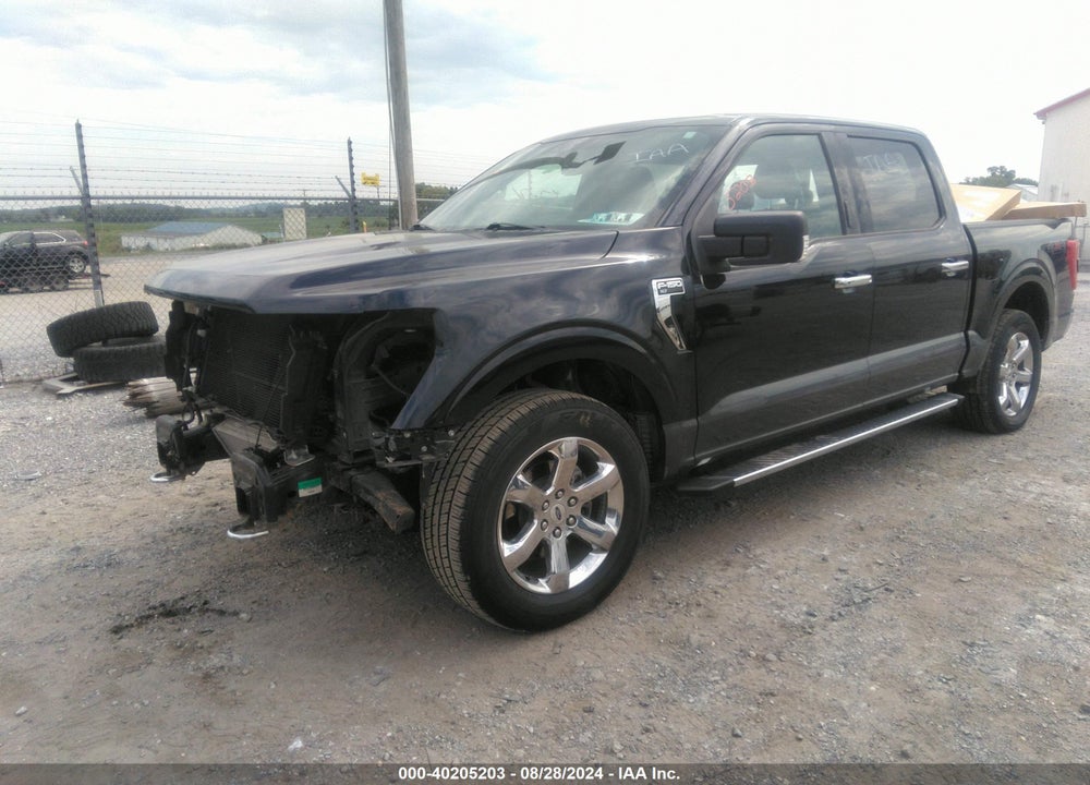 2021 FORD F-150 XLT VIN: 1FTFW1E82MKD11775