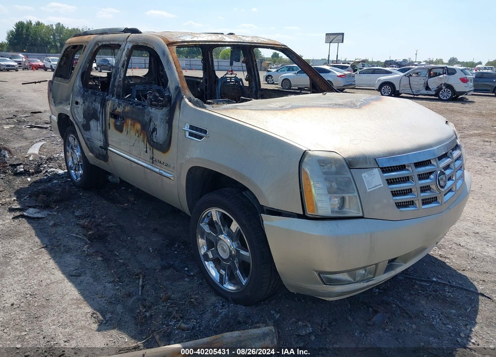2007 CADILLAC ESCALADE STANDARD VIN: 1GYFK63817R292590