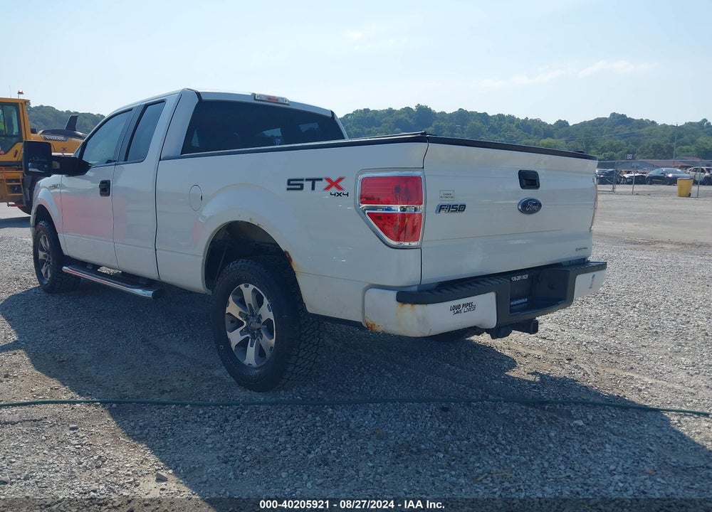 2013 FORD F-150 STX VIN: 1FTFX1EF9DKD80894