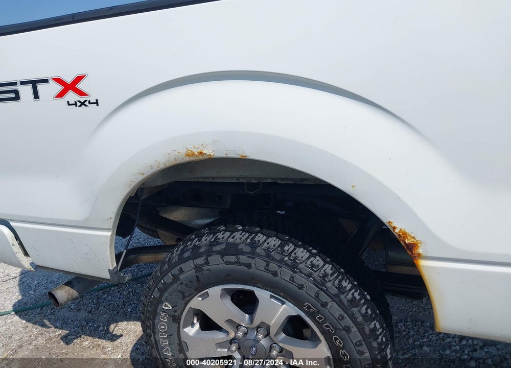 2013 FORD F-150 STX VIN: 1FTFX1EF9DKD80894