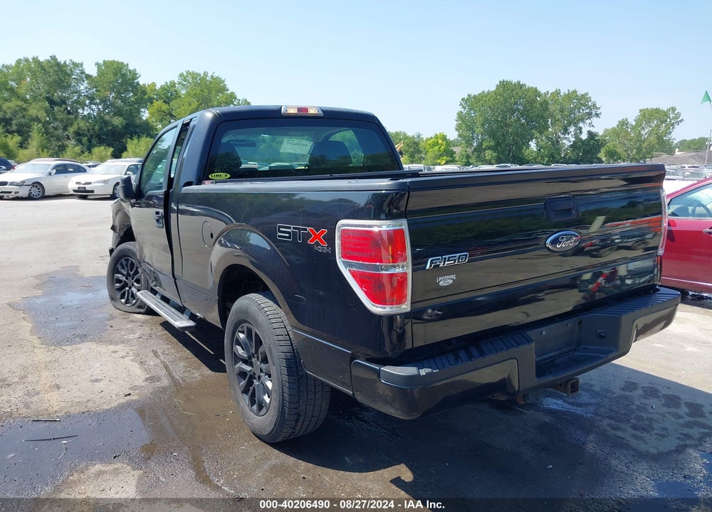 2010 FORD F-150 STX/XL/XLT VIN: 1FTMF1E83AKC54764