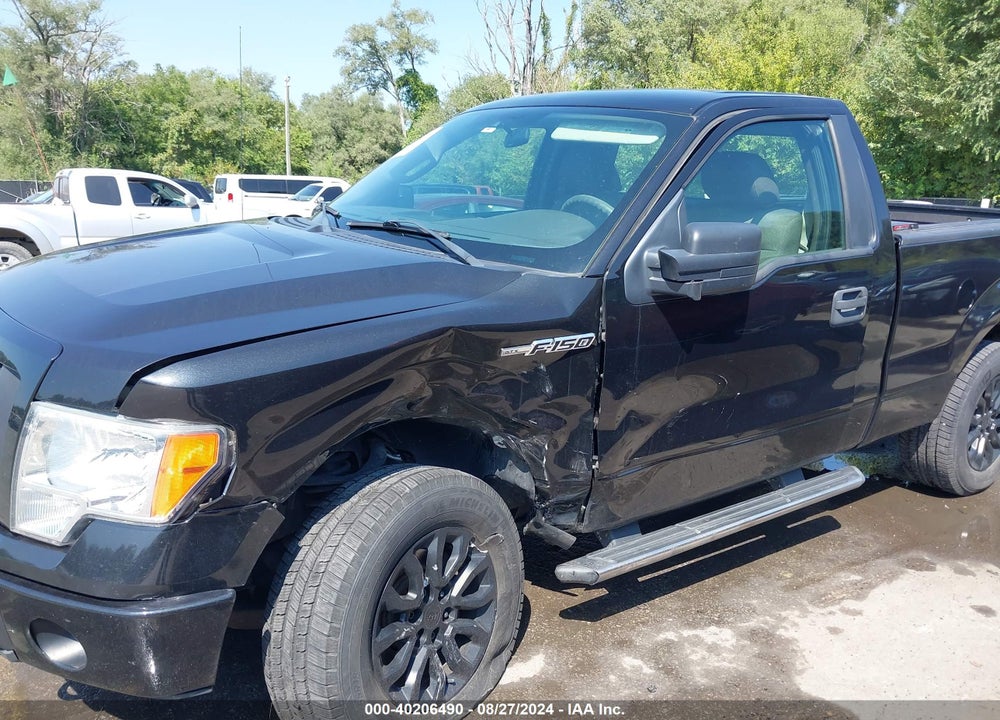 2010 FORD F-150 STX/XL/XLT VIN: 1FTMF1E83AKC54764
