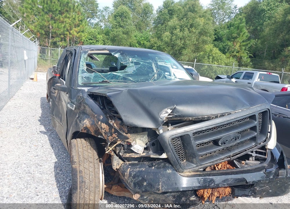 2005 FORD F-150 STX/XL/XLT VIN: 1FTRX12W65NA15011