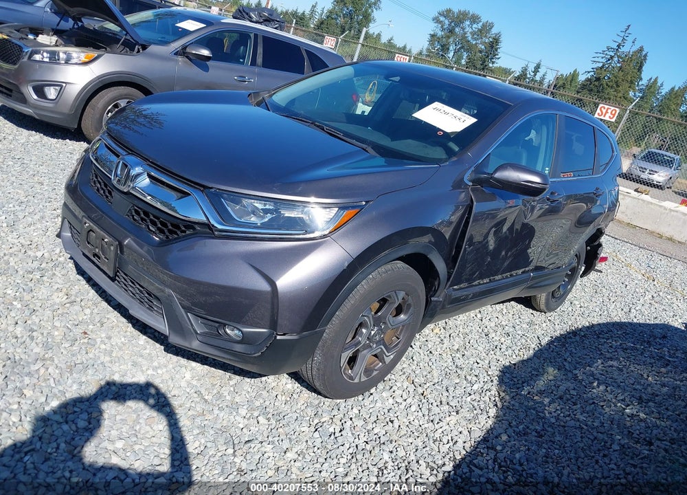 2019 HONDA CR-V EX-L VIN: JHLRW2H83KX008313