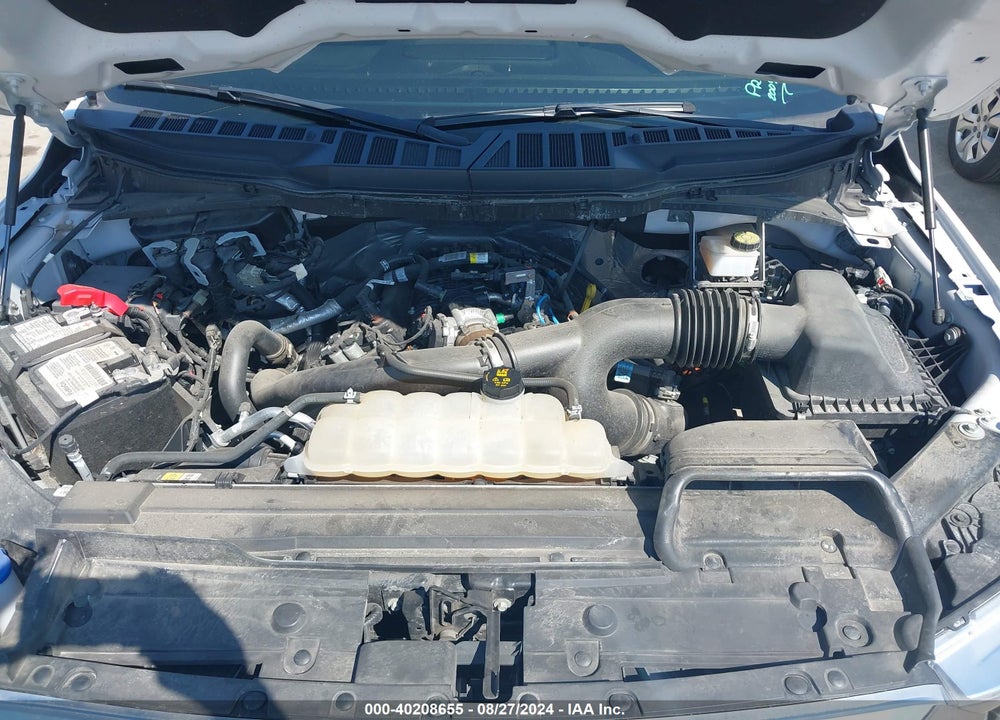 2021 FORD F-150 XLT VIN: 1FTEW1EP2MFD08807