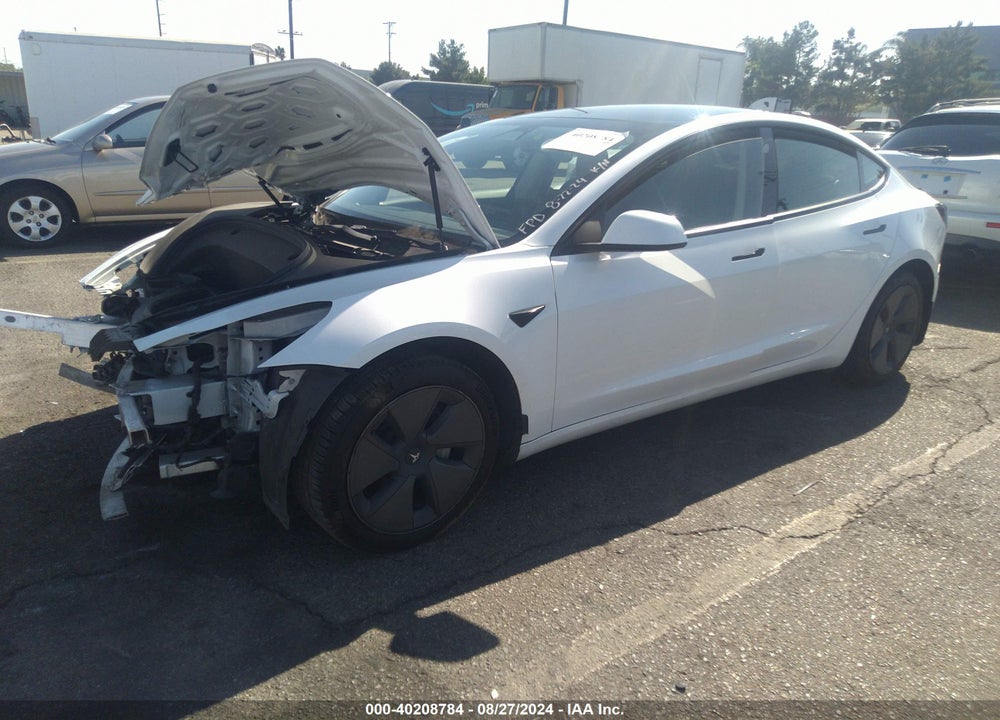 2022 TESLA MODEL 3 REAR-WHEEL DRIVE VIN: 5YJ3E1EA2NF125404