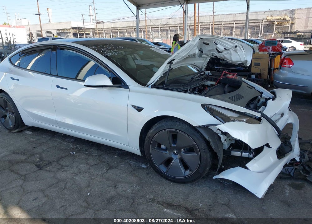 2023 TESLA MODEL 3 REAR-WHEEL DRIVE VIN: 5YJ3E1EA9PF385334