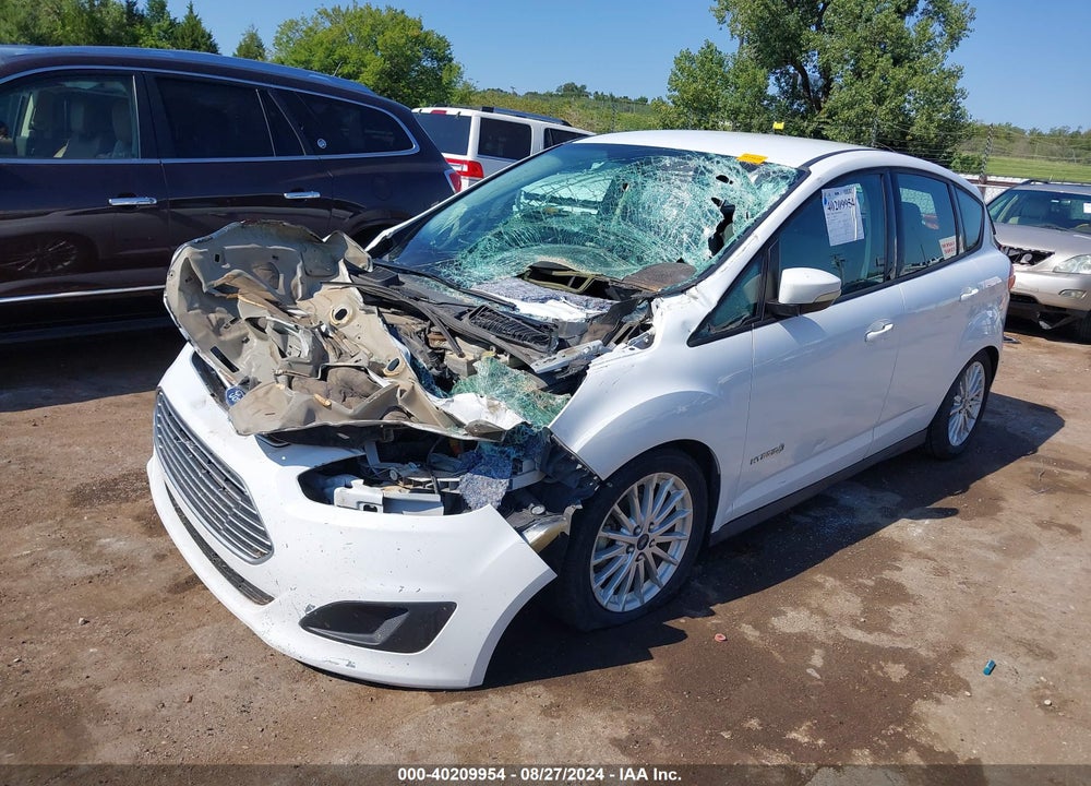 2013 FORD C-MAX HYBRID SE VIN: 1FADP5AU9DL553901