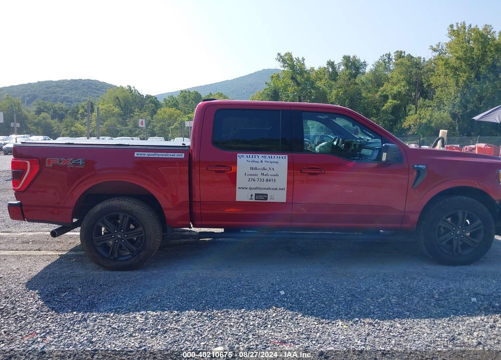 2021 FORD F-150 XLT VIN: 1FTFW1E57MFC42600