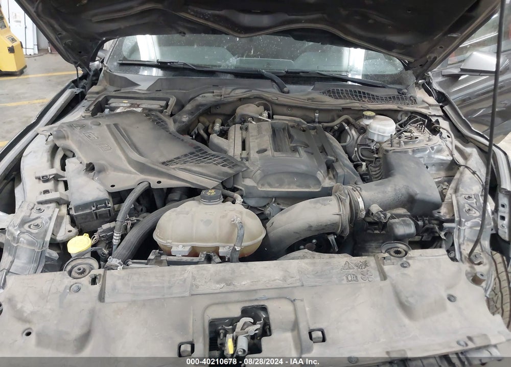 2019 FORD MUSTANG ECOBOOST VIN: 1FA6P8TH1K5135263