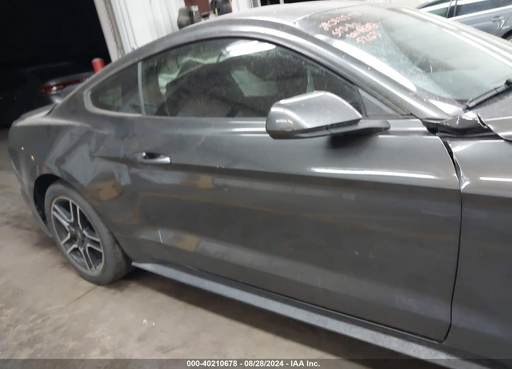 2019 FORD MUSTANG ECOBOOST VIN: 1FA6P8TH1K5135263