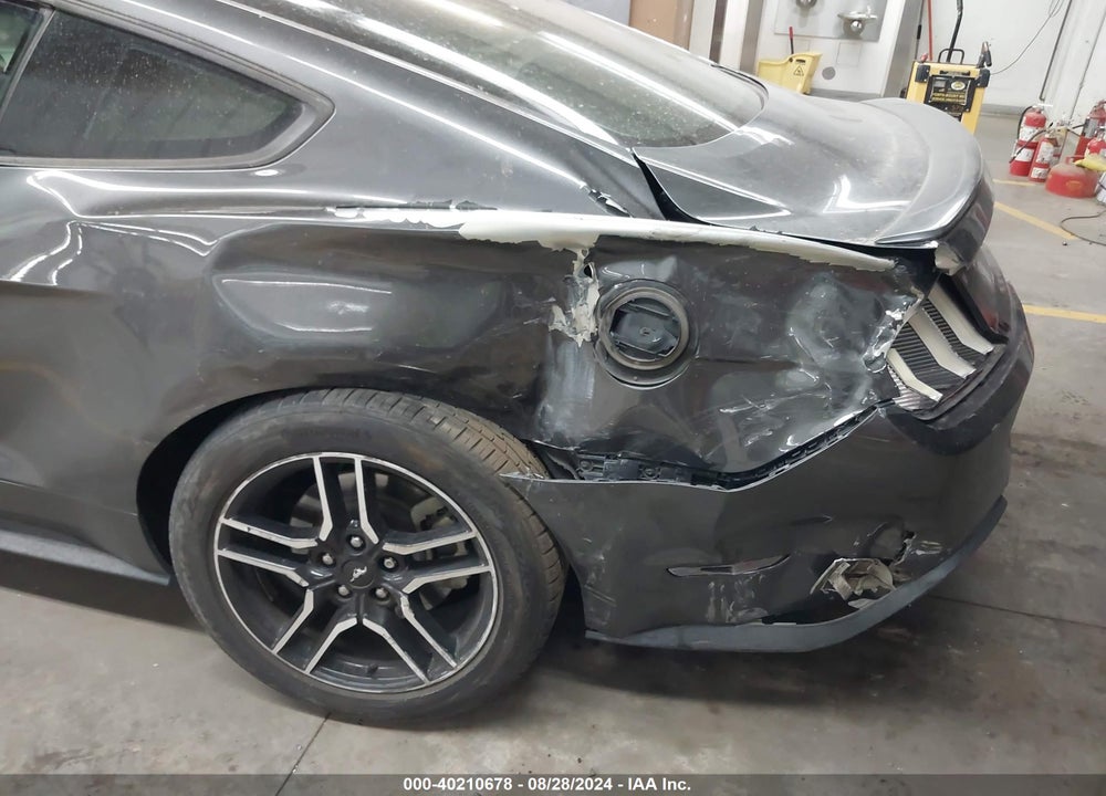 2019 FORD MUSTANG ECOBOOST VIN: 1FA6P8TH1K5135263
