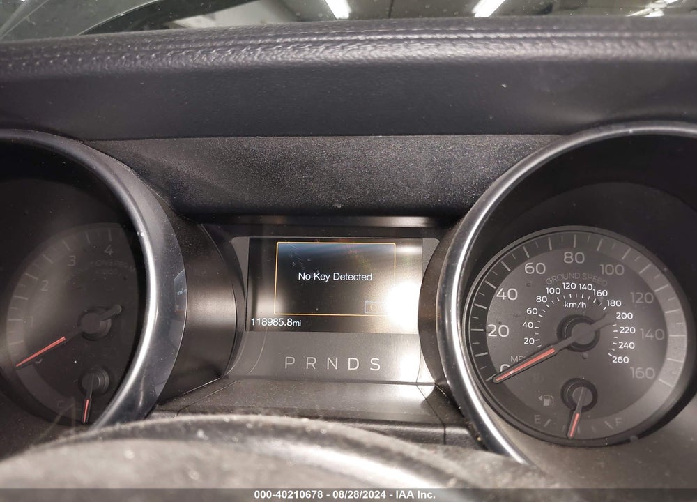 2019 FORD MUSTANG ECOBOOST VIN: 1FA6P8TH1K5135263