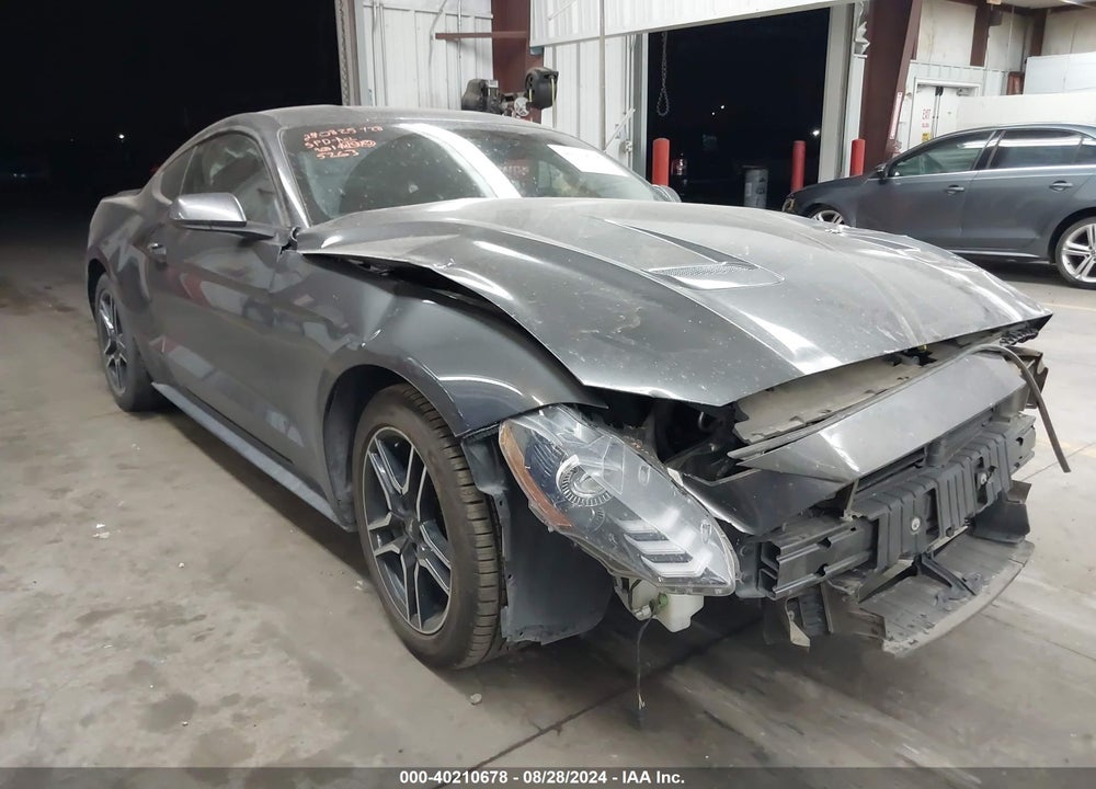 2019 FORD MUSTANG ECOBOOST VIN: 1FA6P8TH1K5135263