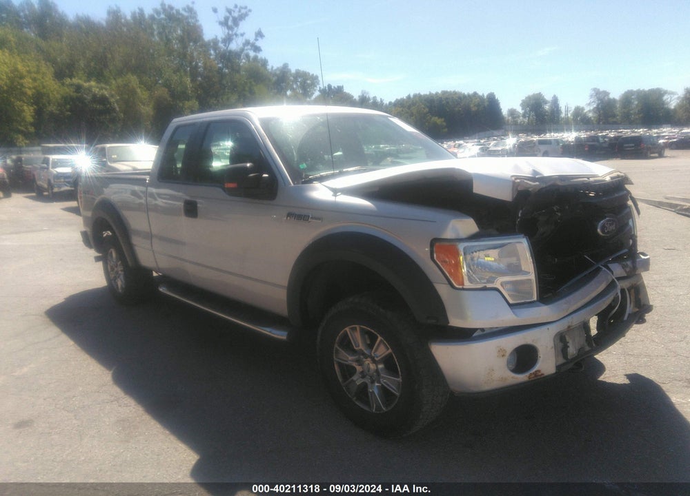2011 FORD F-150 STX VIN: 1FTFX1EFXBFA77032