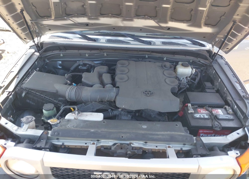 2010 TOYOTA FJ CRUISER VIN: JTEBU4BF9AK096038
