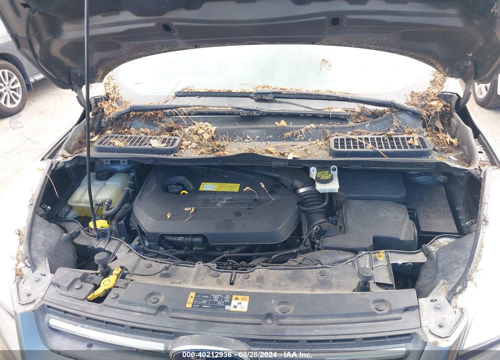 2014 FORD ESCAPE SE VIN: 1FMCU0GX5EUC05197