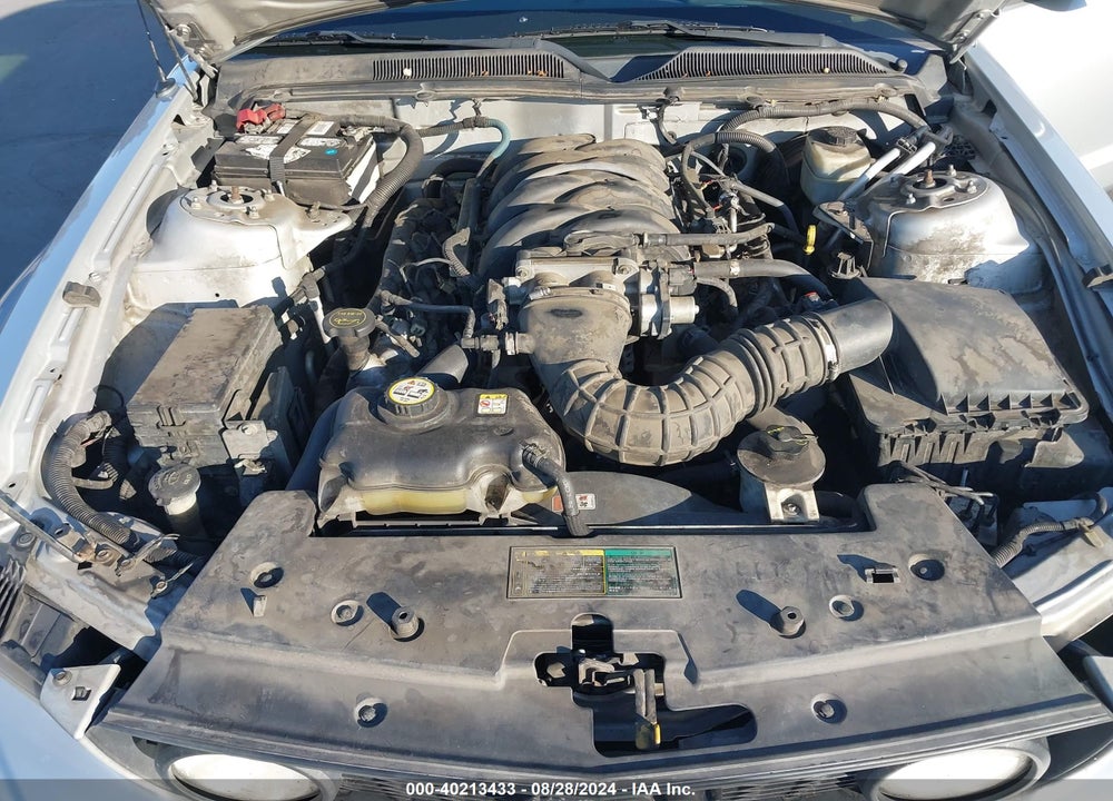 2005 FORD MUSTANG GT DELUXE/GT PREMIUM VIN: 1ZVFT82H055180784