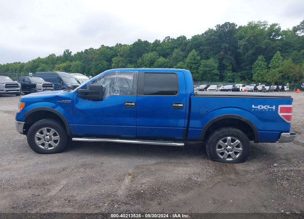 2013 FORD F-150 XLT VIN: 1FTFW1EF9DFD78896