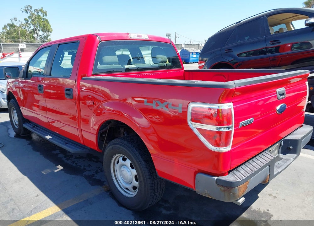 2010 FORD F-150 XL/XLT VIN: 1FTEW1E81AKE03967