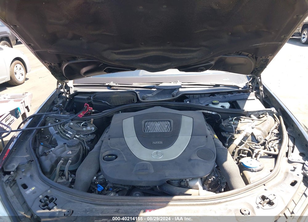 2010 MERCEDES-BENZ S 550 VIN: WDDNG7BBXAA345384