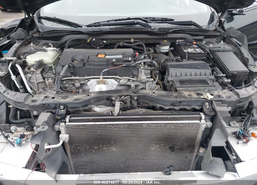 2019 HONDA CIVIC LX VIN: 2HGFC2F65KH507758