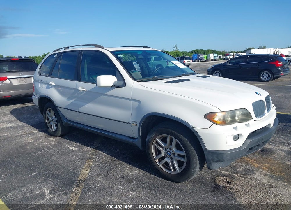 2006 BMW X5 3.0I VIN: 5UXFA13506LY27748