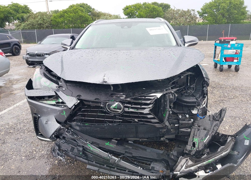 2020 LEXUS NX 300 VIN: JTJDARBZXL5007136