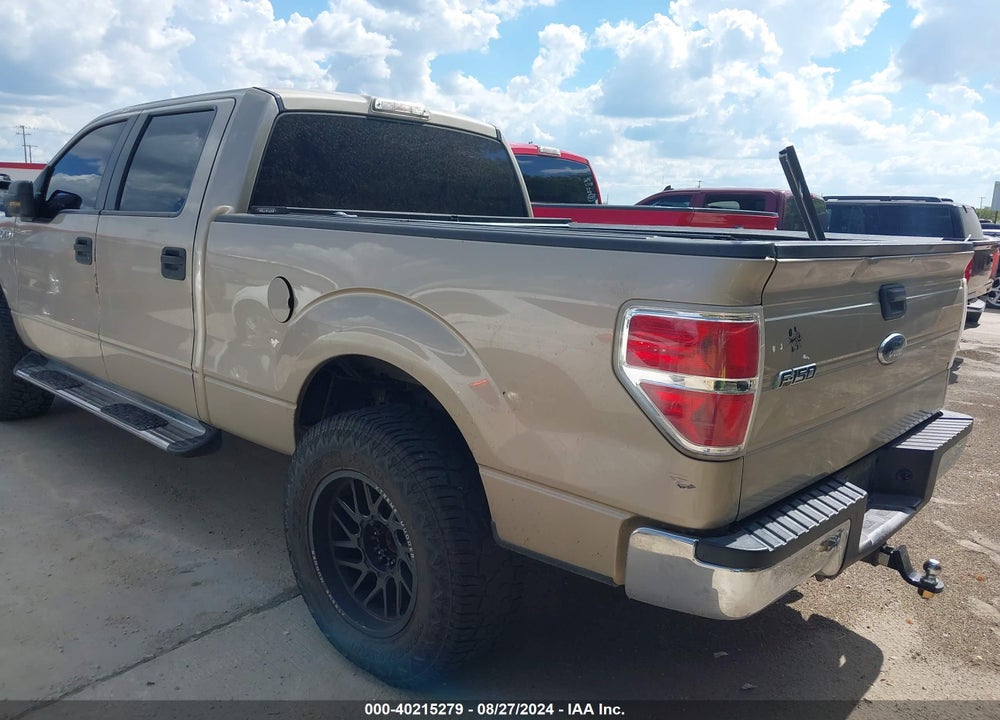 2010 FORD F-150 XLT VIN: 1FTEW1C85AKA32704