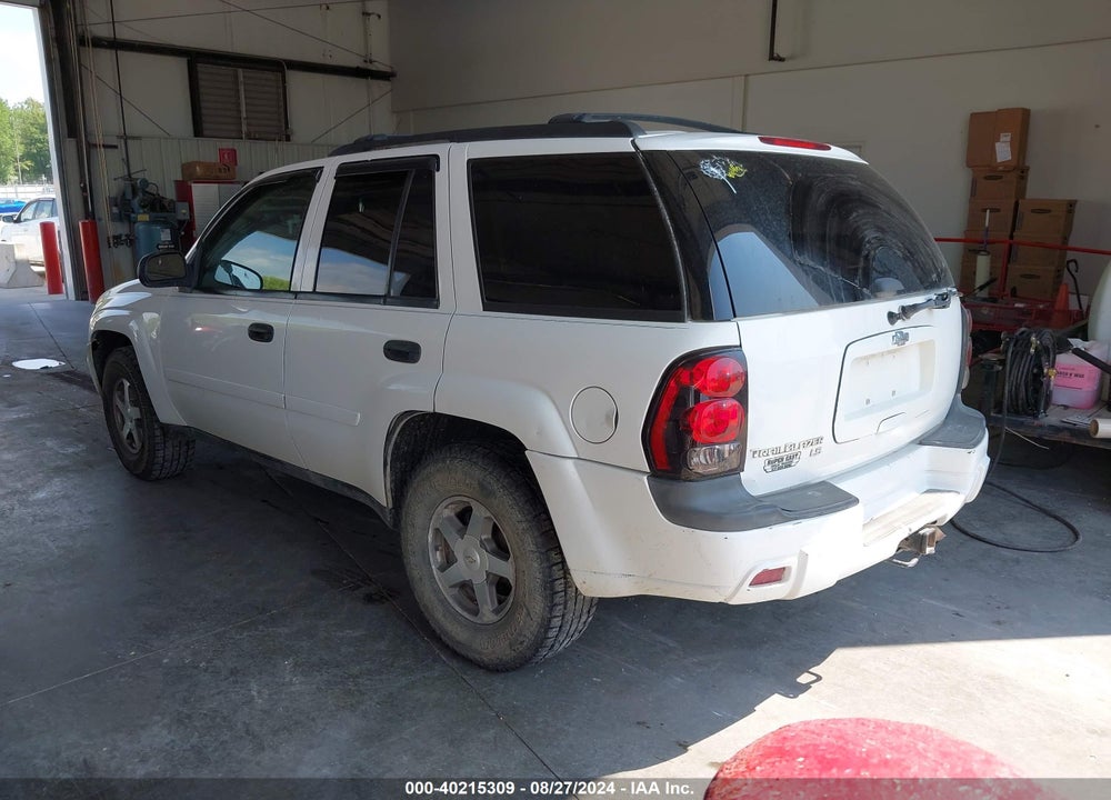 2006 CHEVROLET TRAILBLAZER LS VIN: 1GNDT13S262150045