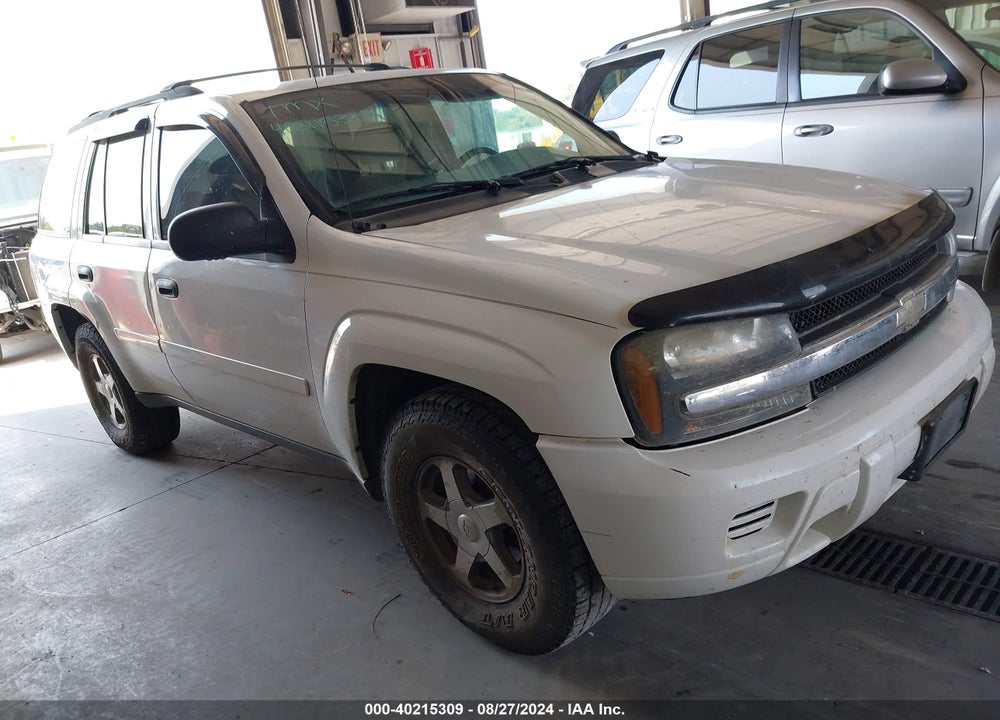 2006 CHEVROLET TRAILBLAZER LS VIN: 1GNDT13S262150045