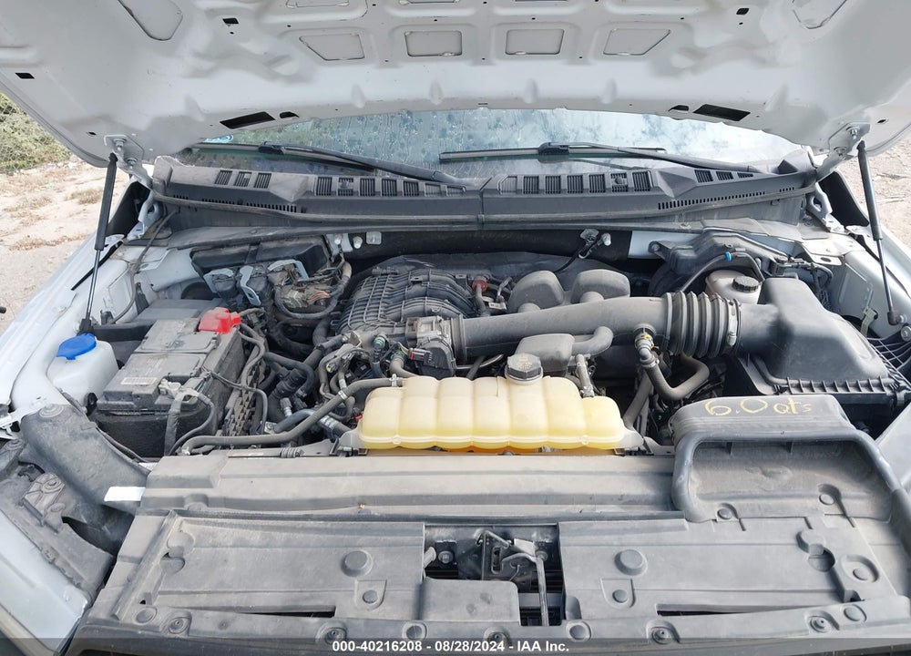 2020 FORD F-150 XL VIN: 1FTMF1EB0LKE34136