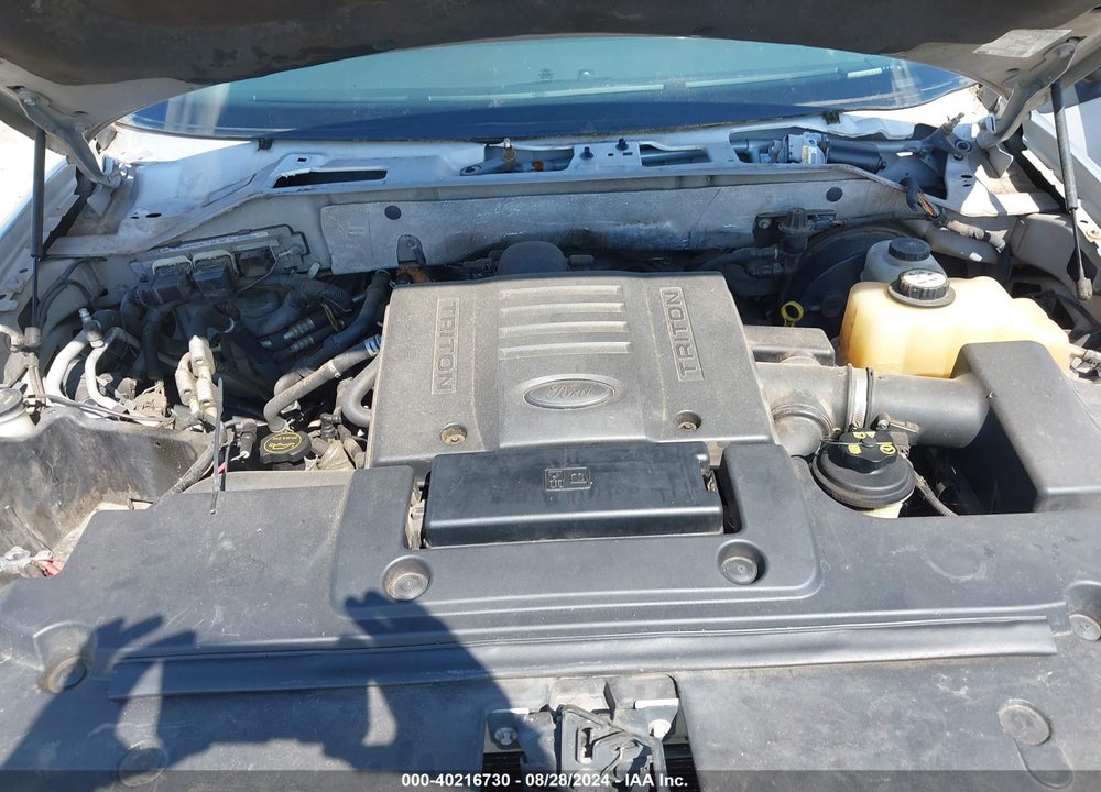 2007 FORD EXPEDITION XLT VIN: 1FMFU15567LA22839