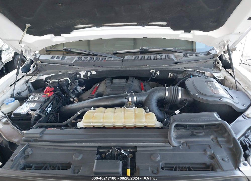 2019 FORD F-150 RAPTOR VIN: 1FTFW1RG7KFA74384