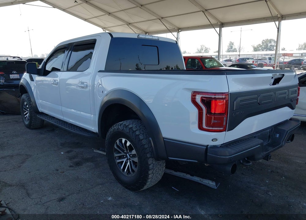 2019 FORD F-150 RAPTOR VIN: 1FTFW1RG7KFA74384