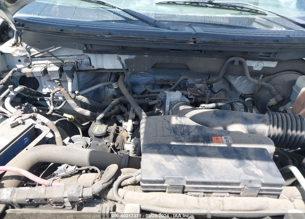 2010 FORD F-150 STX/XL/XLT VIN: 1FTMF1CW2AKA65377