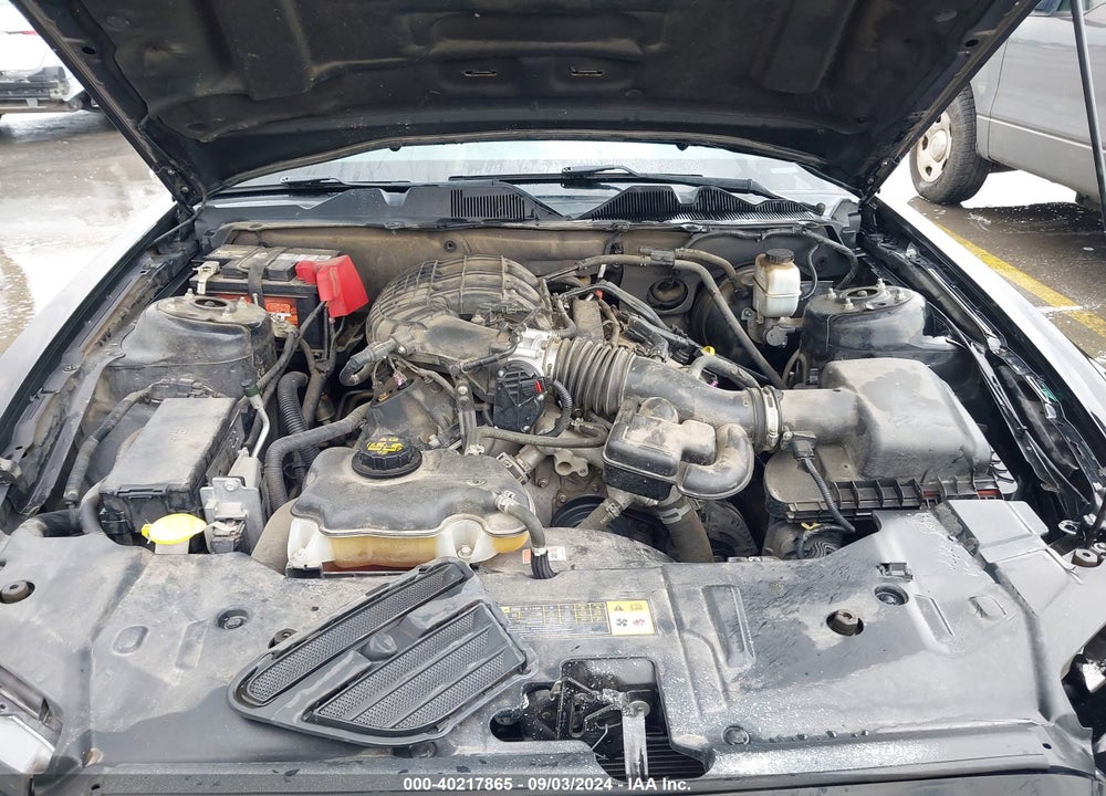 2013 FORD MUSTANG V6 VIN: 1ZVBP8AM4D5228707