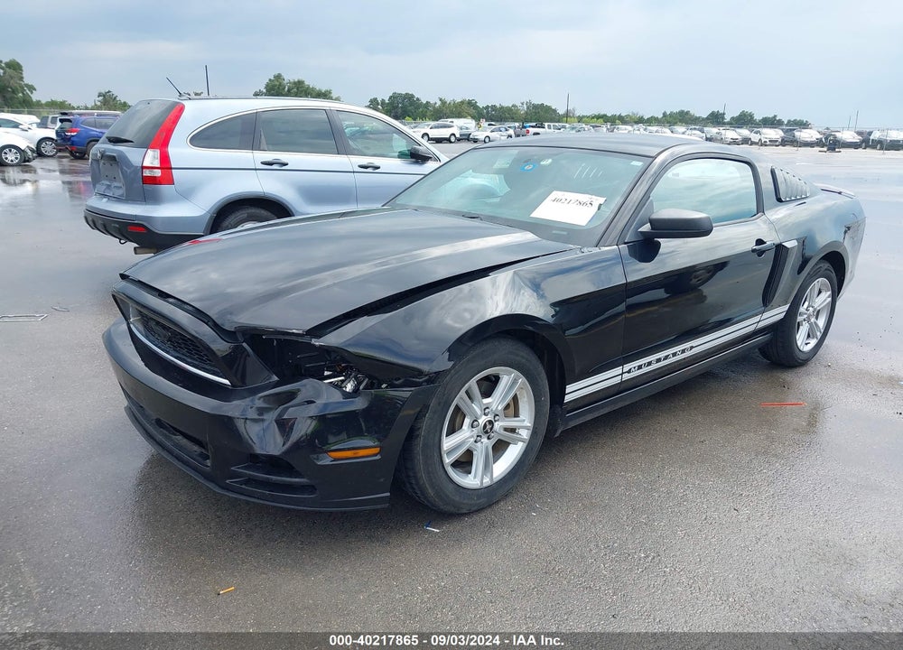 2013 FORD MUSTANG V6 VIN: 1ZVBP8AM4D5228707