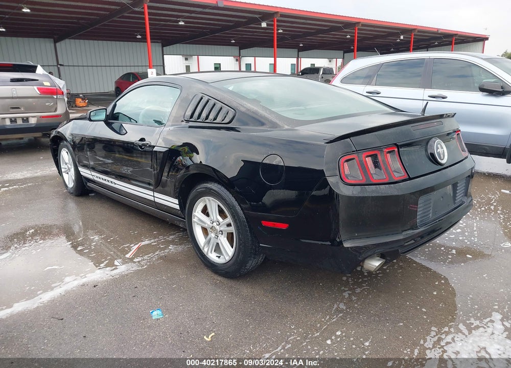 2013 FORD MUSTANG V6 VIN: 1ZVBP8AM4D5228707