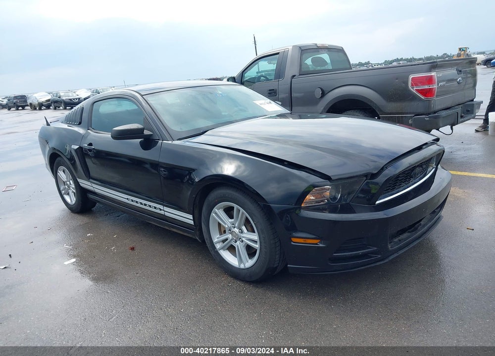 2013 FORD MUSTANG V6 VIN: 1ZVBP8AM4D5228707