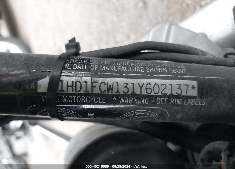 2001 HARLEY-DAVIDSON FLHTCUI VIN: 1HD1FCW131Y602137