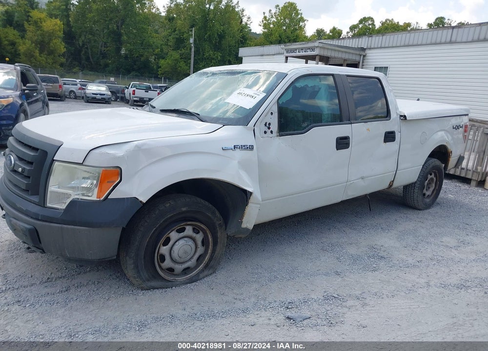2011 FORD F-150 XL VIN: 1FTFW1EF7BKE10197