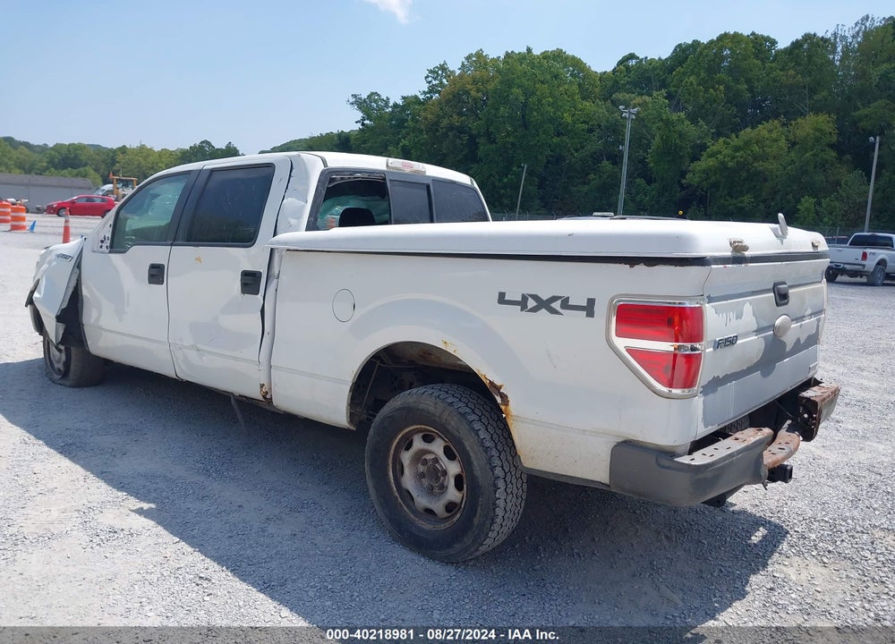 2011 FORD F-150 XL VIN: 1FTFW1EF7BKE10197