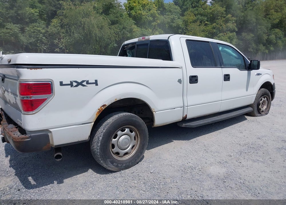 2011 FORD F-150 XL VIN: 1FTFW1EF7BKE10197