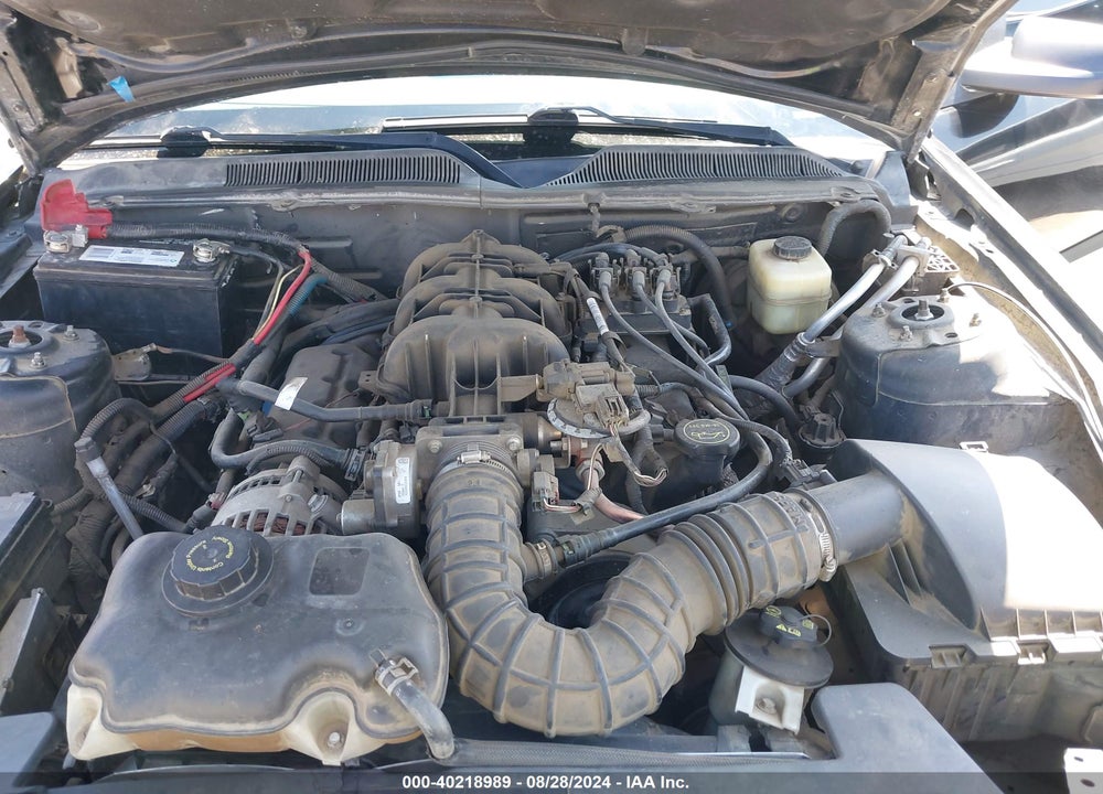 2007 FORD MUSTANG V6 DELUXE/V6 PREMIUM VIN: 1ZVFT84N875291797