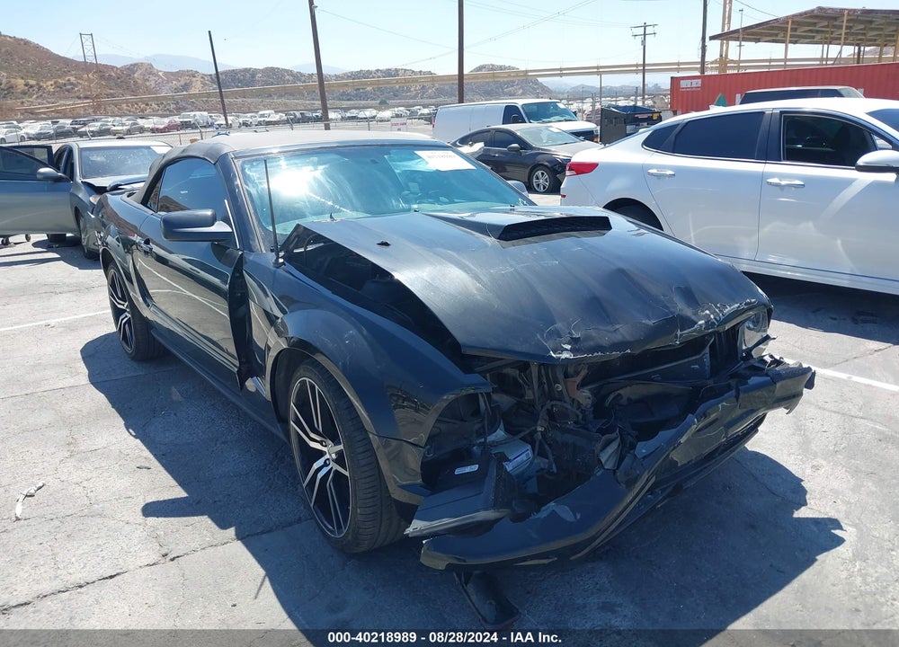 2007 FORD MUSTANG V6 DELUXE/V6 PREMIUM VIN: 1ZVFT84N875291797