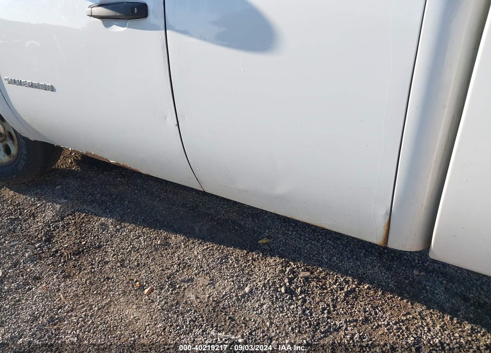2010 CHEVROLET SILVERADO 1500 WORK TRUCK VIN: 1GCSCPEX1AZ174493